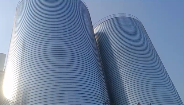 资阳2座混凝土高架卷板仓